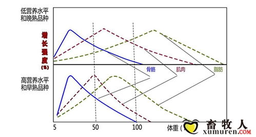 饲料ODM物联网技术研发与实践应用